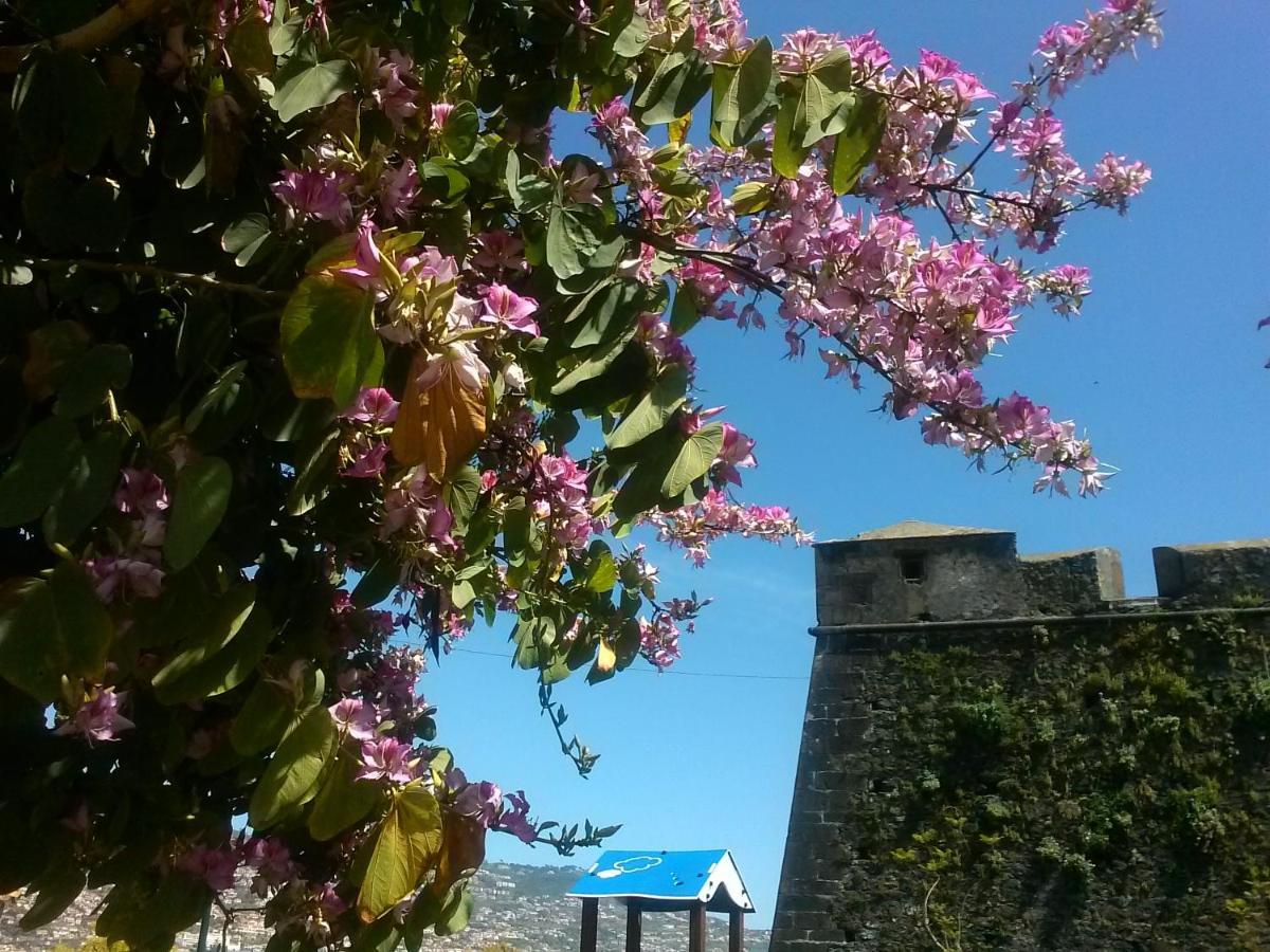 Casa Pico Musica Leilighet Funchal  Eksteriør bilde