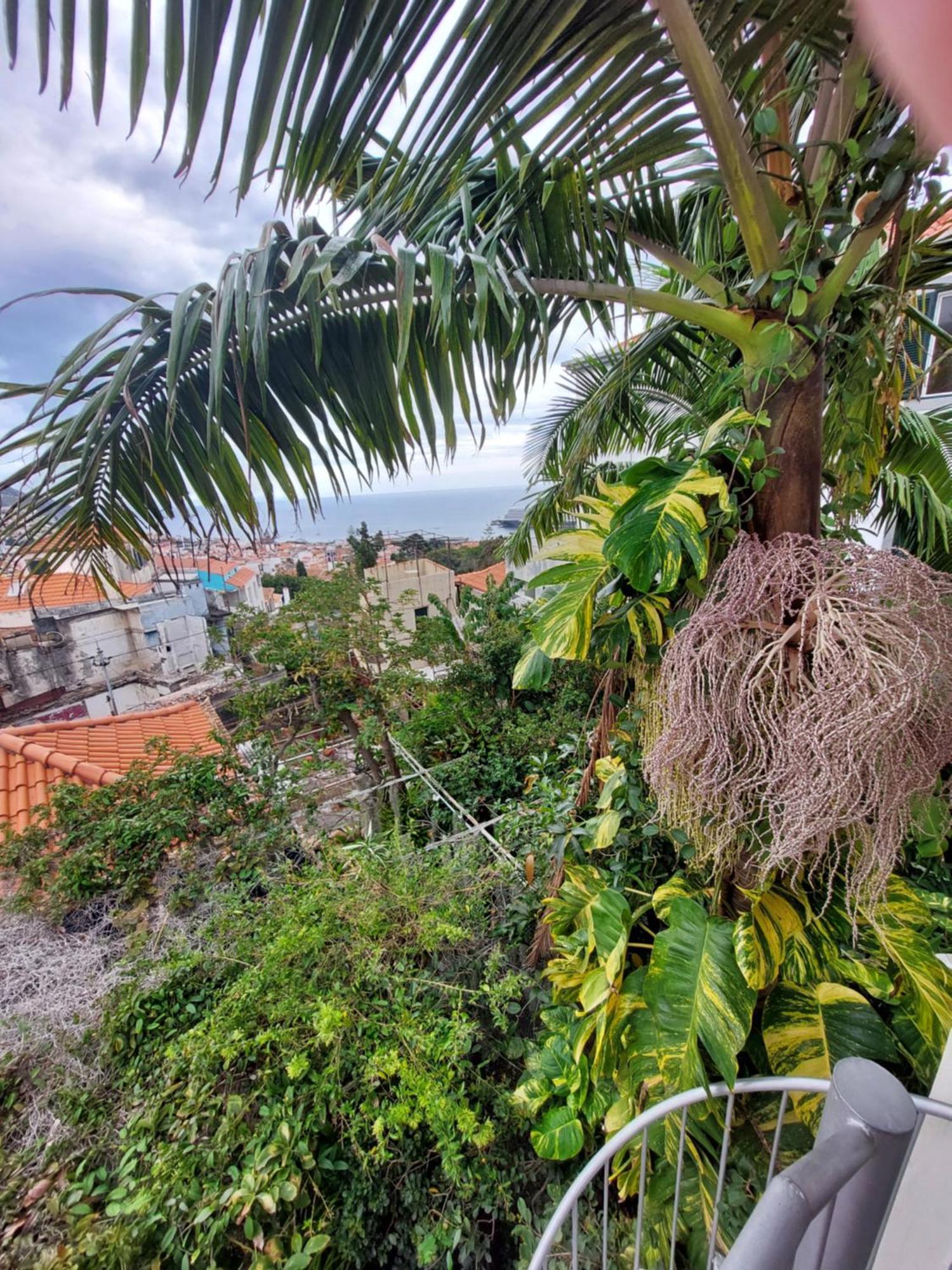 Casa Pico Musica Leilighet Funchal  Eksteriør bilde